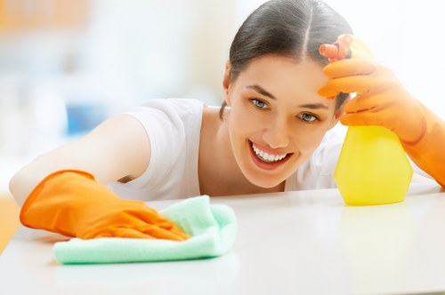 Professional upholstery cleaning of a living room sofa
