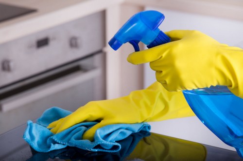 Stain removal tools and cleaning supplies on a table