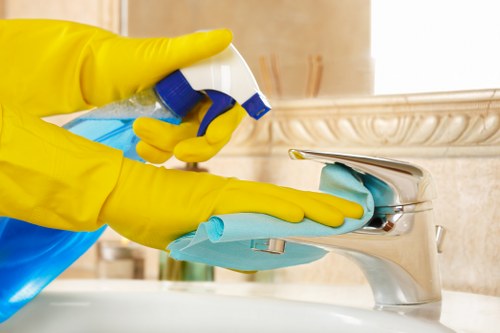 Rug cleaning for homes with pets and children