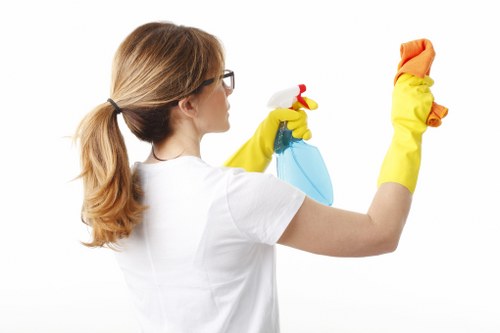 Home odour control after pet accident cleanup