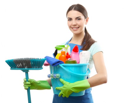 Professional carpet maintenance in a retail space