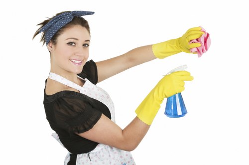 Enzymatic cleaner used for pet urine smell removal